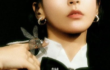 粉丝们是如何自发组织为曾沛慈在《乘风2026》投票应援的？