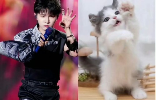 周深阅文盛典逗醒狮，威风狮秒变温顺送礼物|舞狮