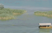 逐玉庆功宴曝咖位！张凌赫靠边站，业内大佬都到场，全给她让C位 