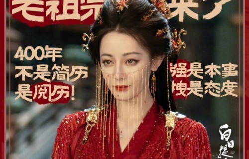 迪丽热巴和陈飞宇在《白日提灯》中的演技和角色适配度如何评价？