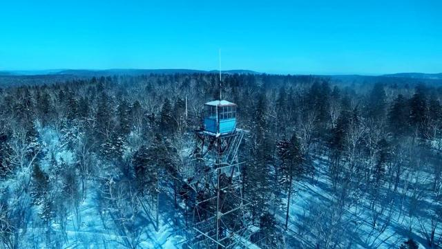 打开网易新闻 查看精彩图片