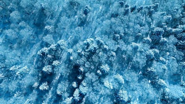 打开网易新闻 查看精彩图片