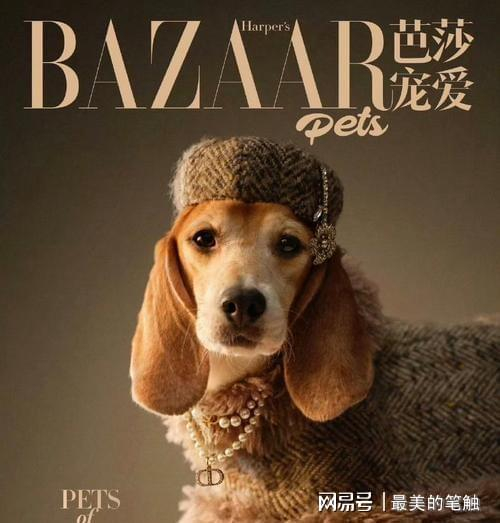 打开网易新闻 查看精彩图片