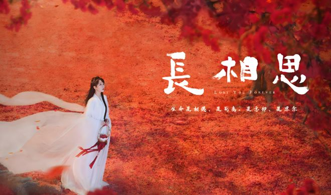 长相思剧照