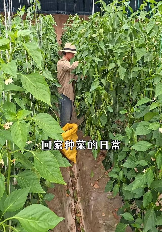  打开网易新闻 查看精彩图片 